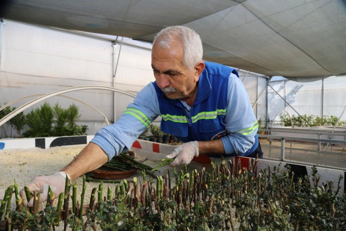 Seralarda Bitki Üretimini Arttırıldı