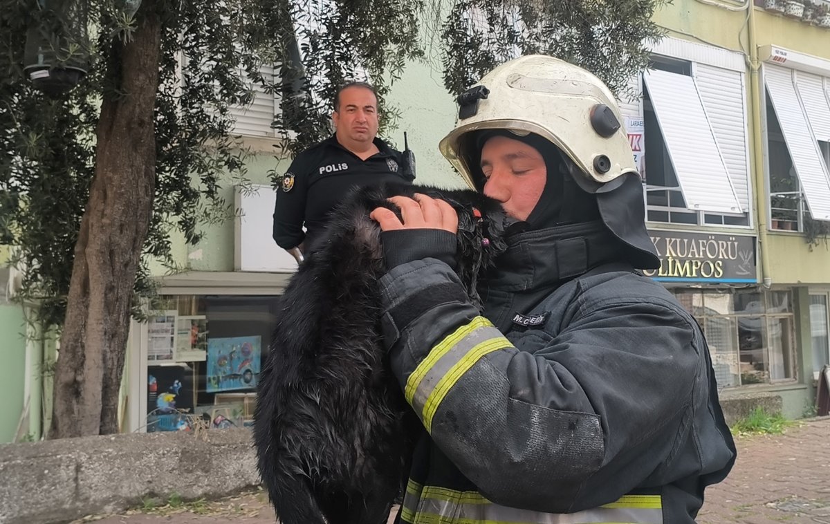İtfaiye Eri Yangında Dumandan Etkilenen Kediyi Kalp Masajı ile Hayata Döndürdü