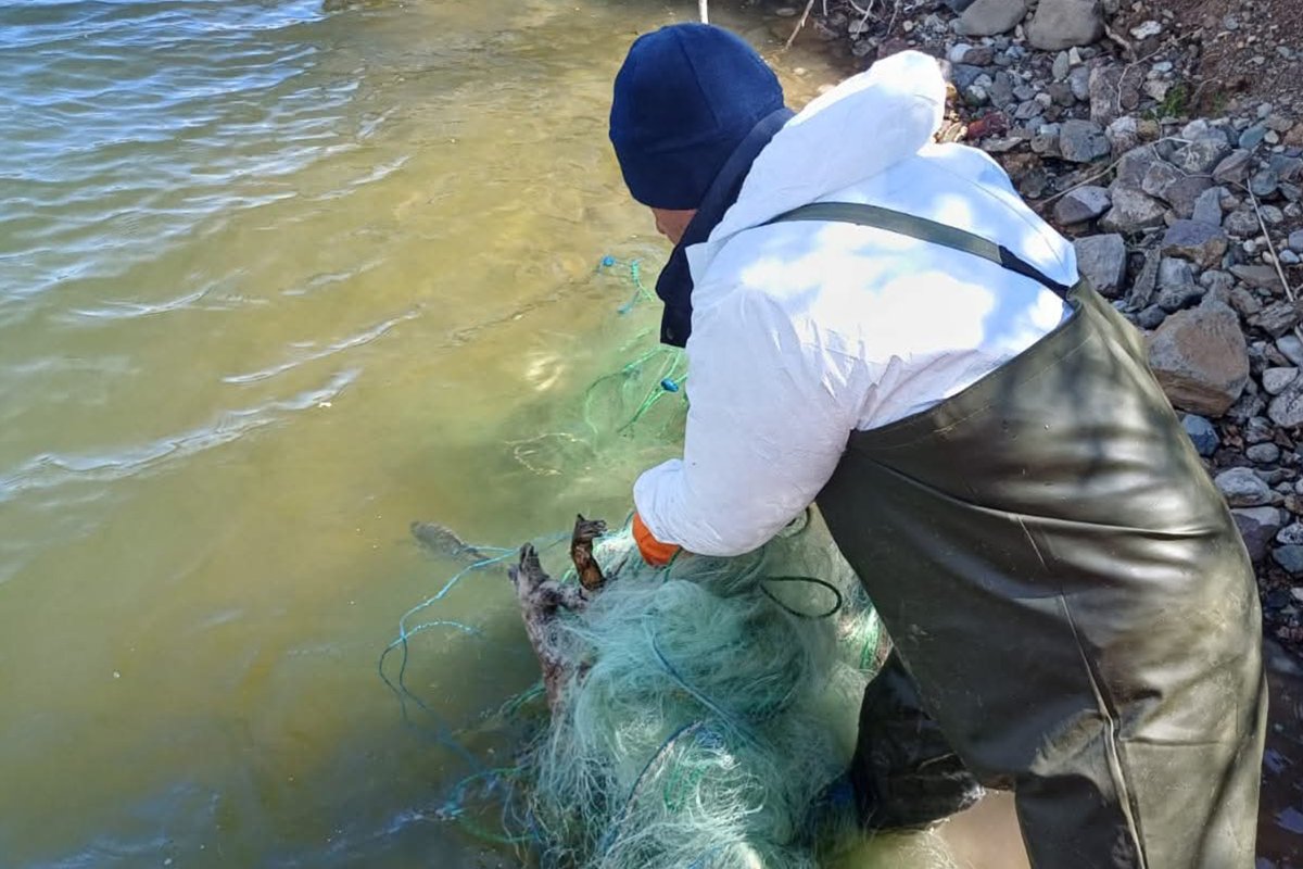 Çorum'da Baraj Gölünde Yasa Dışı Av Araçları Ele Geçirildi