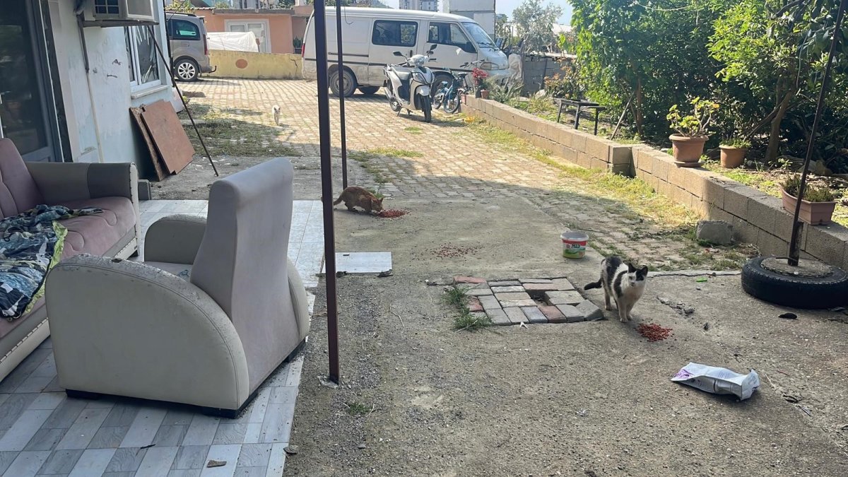 Kötü Şartlarda Evde Tutulan Hayvanlar, Gençlerin Tepkisi Sonrası Kurtarıldı