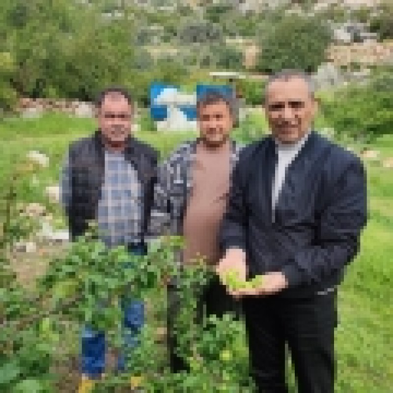 Dolu Afeti Sonrası Hasar Tespit Çalışmalarına Başlandı