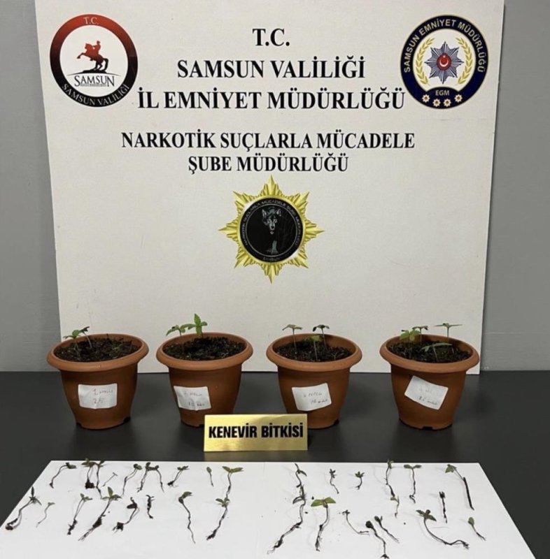 Samsun'da Uyuşturucu Operasyonu: 4 Gözaltı