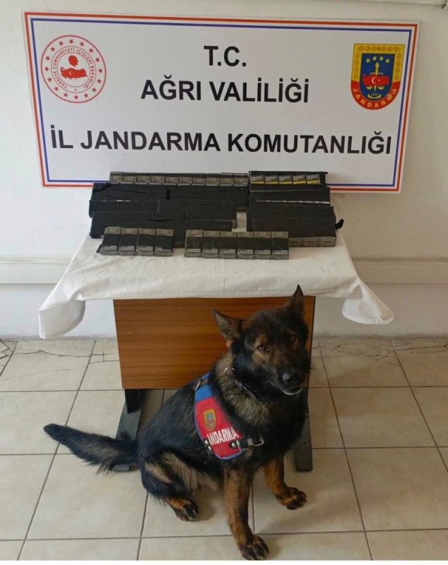 Diyadin'de 180 Paket Kaçak Sigara Yakalandı