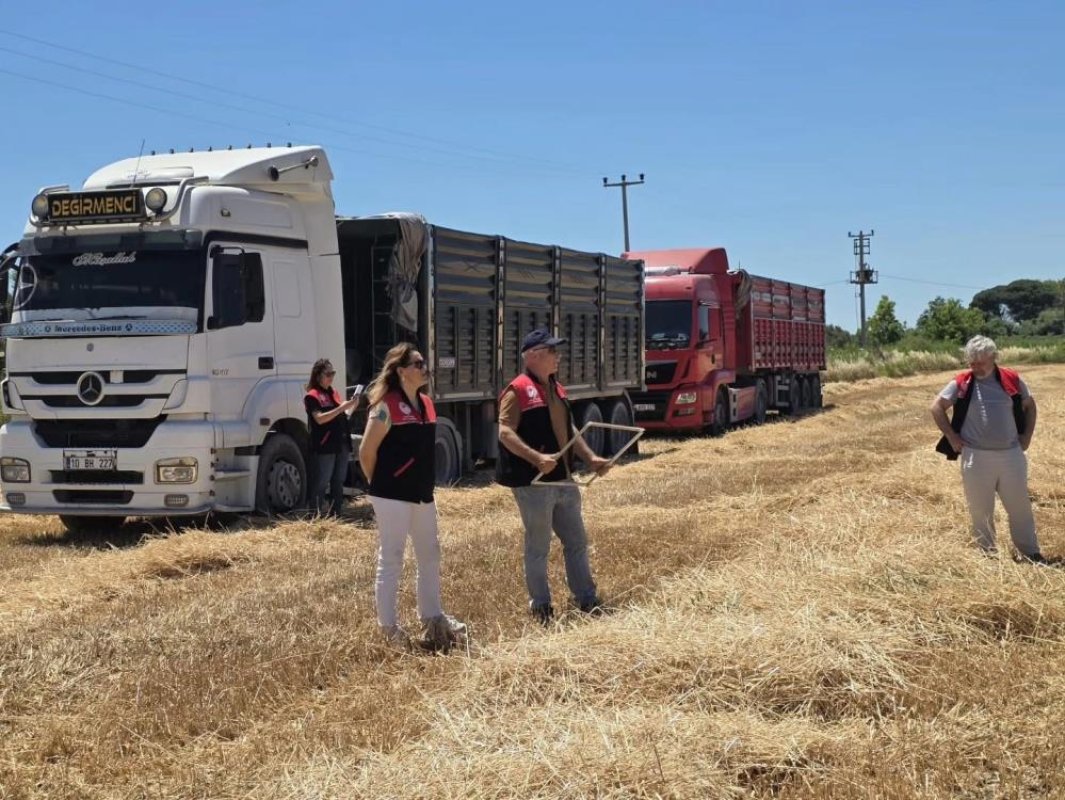 Edremit’te Buğday Hasadı Başladı