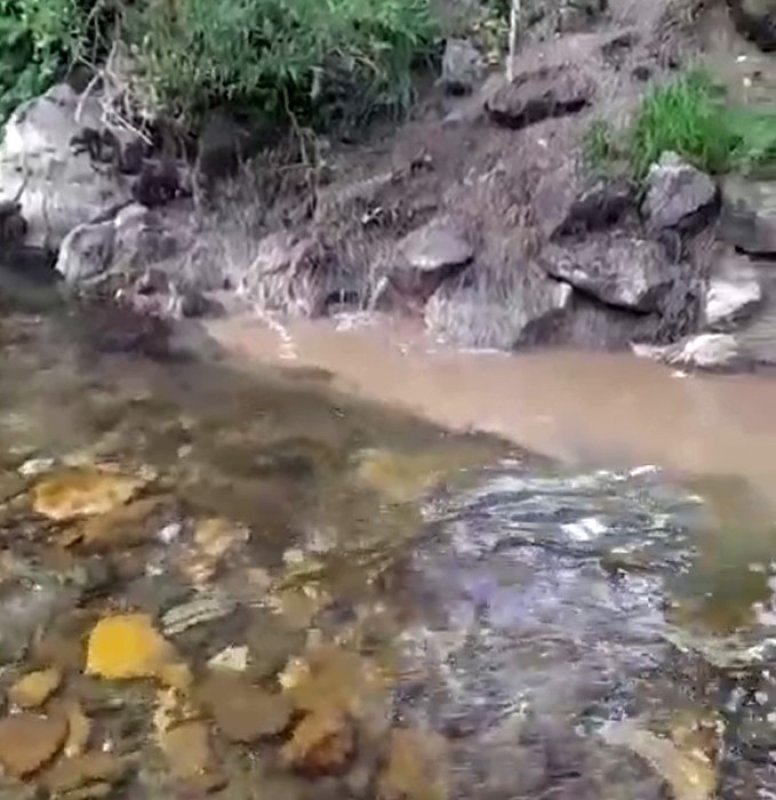 Bolu'da kanalizasyon sularının dereye karışmasına tepki