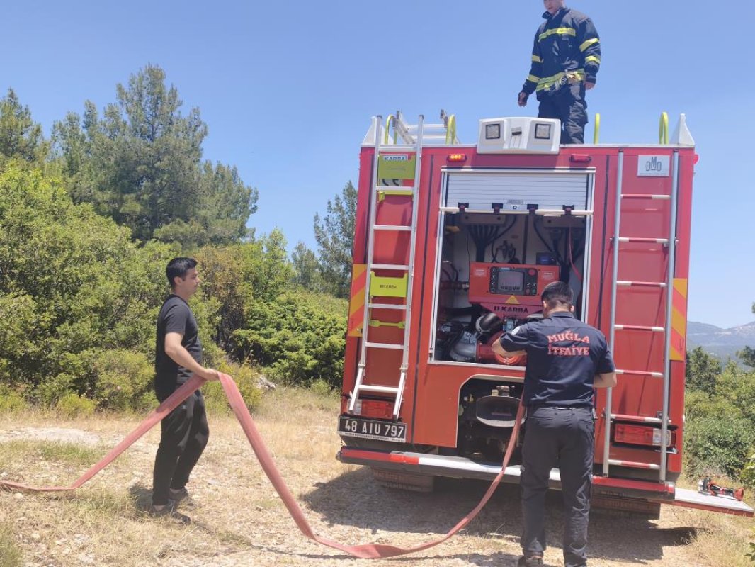 Muğla'da orman yangını ekiplerin hızlı müdahalesi ile söndürüldü