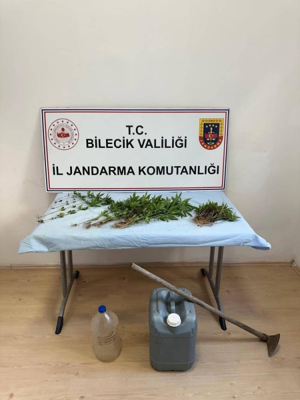 Ormanlık Arazide Kenevir Ekimi Yapan Şahıs Ektikleri Sularken Yakalandı