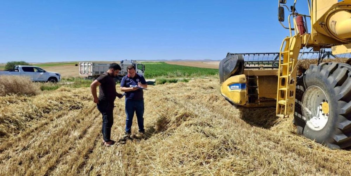 Afyonkarahisar'da hububat hasadı başladı