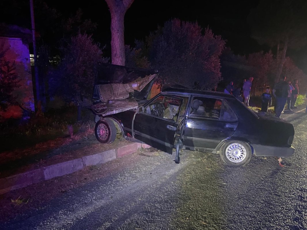 Sokak köpeğinden kaçmak isteyen otomobil ağaca çarptı: 1'i ağır 2 yaralı