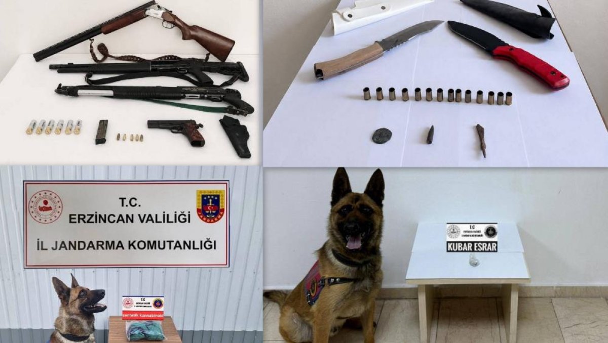 Erzincan'da Haziran ayında 217 olayın yüzde 98'i aydınlatıldı