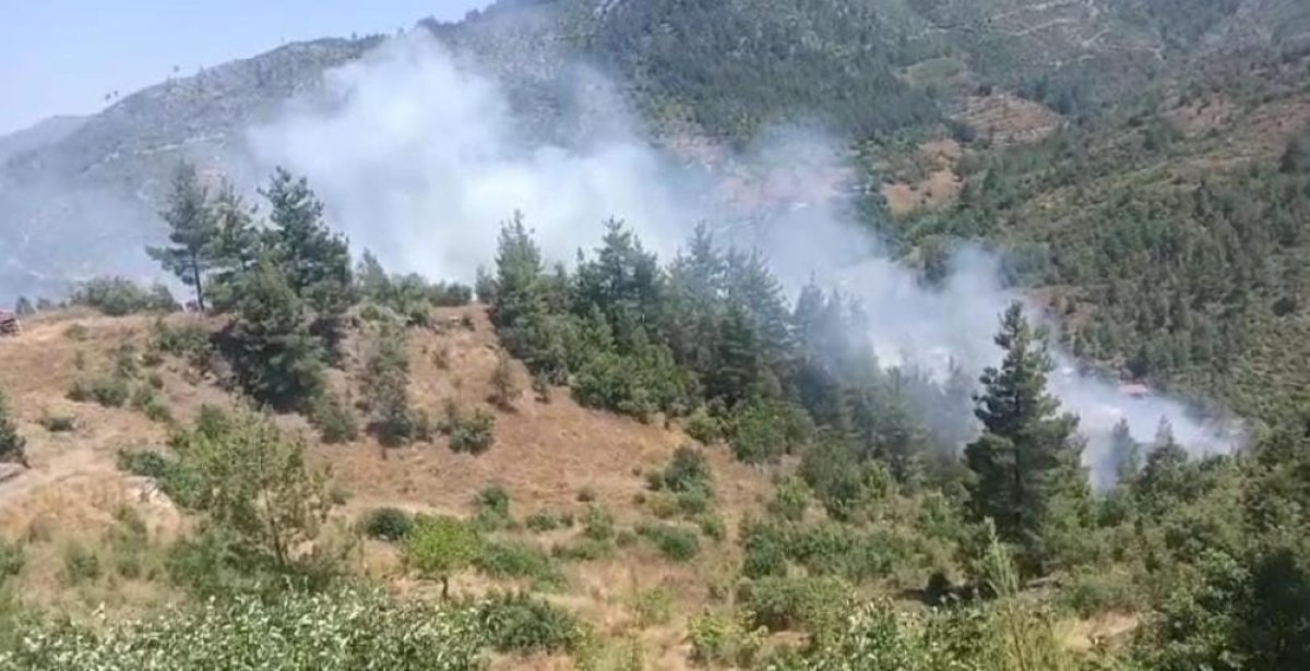 Adana'da orman yangını