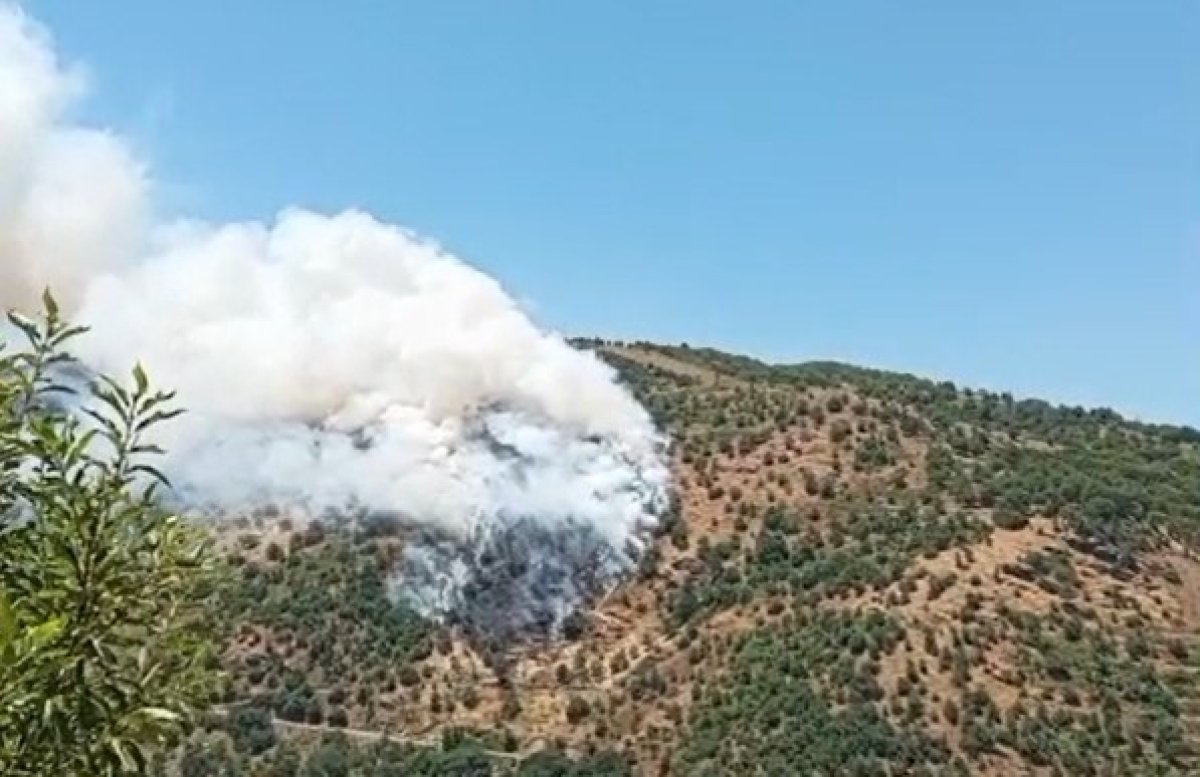  Sultanhisar’da makilik ve orman yangını