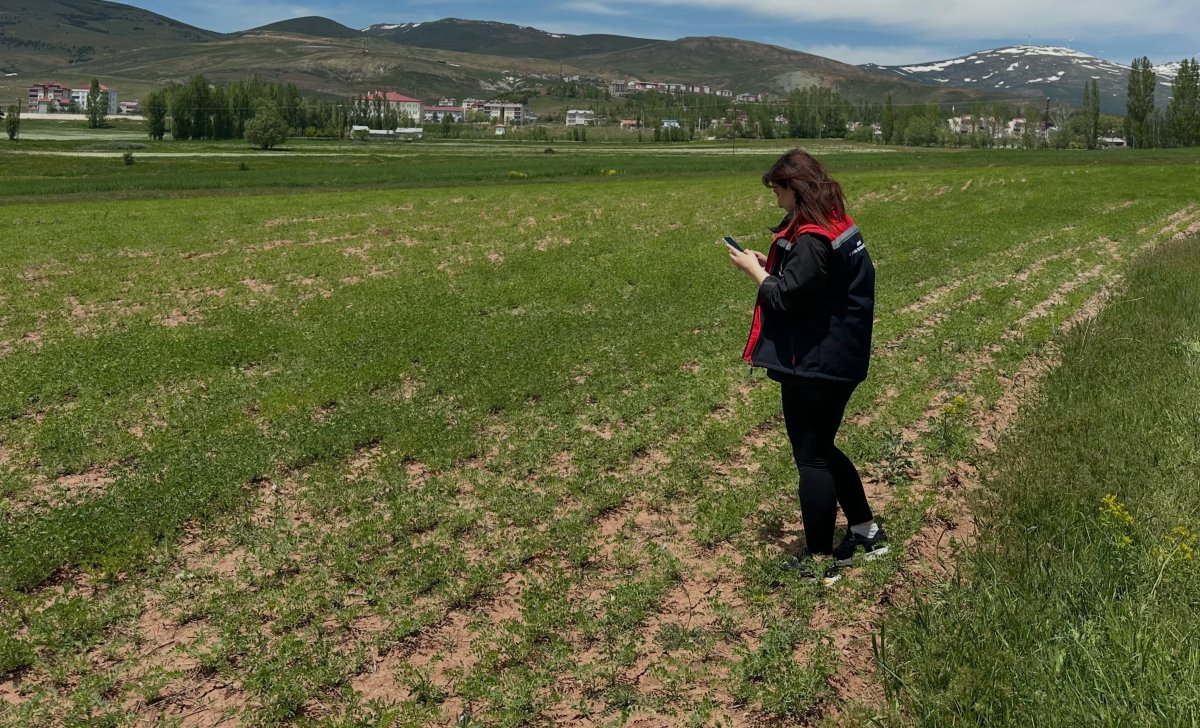 Aydıntepe'de ürün tespit çalışmaları sürüyor