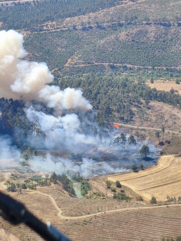 Bursa'da otluk alanda çıkan yangın ormana sıçradı