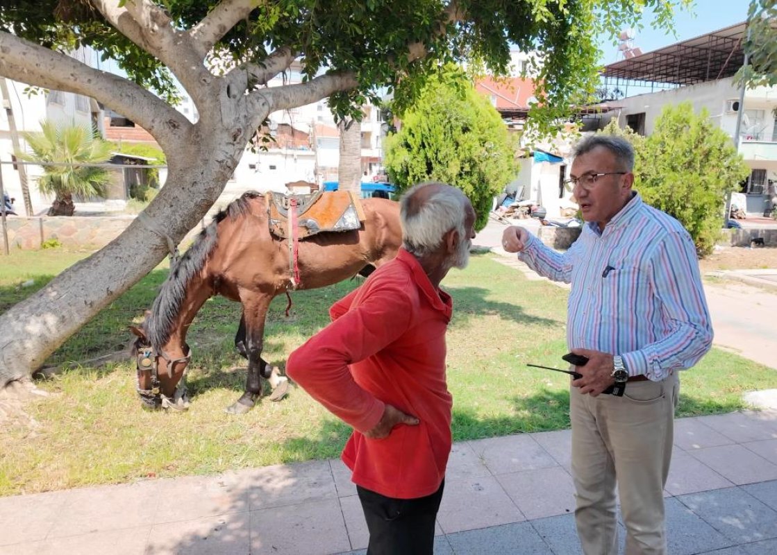 Mersin’de bitkin düşen at yeni yuvasına kavuştu
