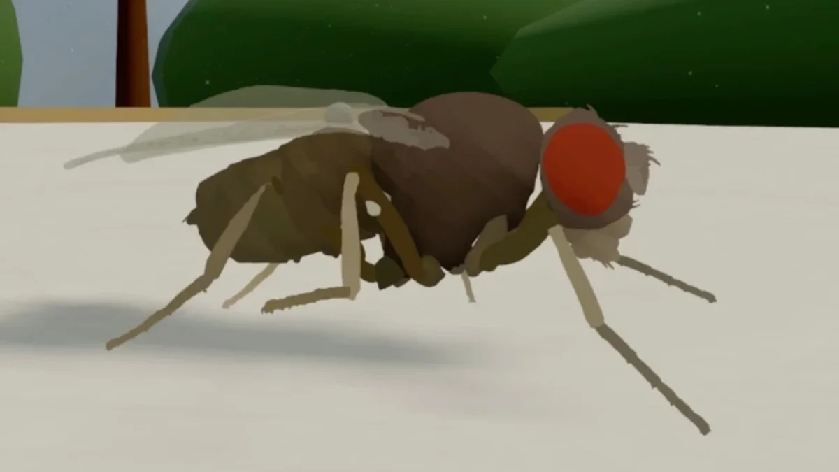 İnsan Beyninin Kopyası Bilgisayarda Simüle Edildi